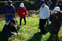 DSC04790